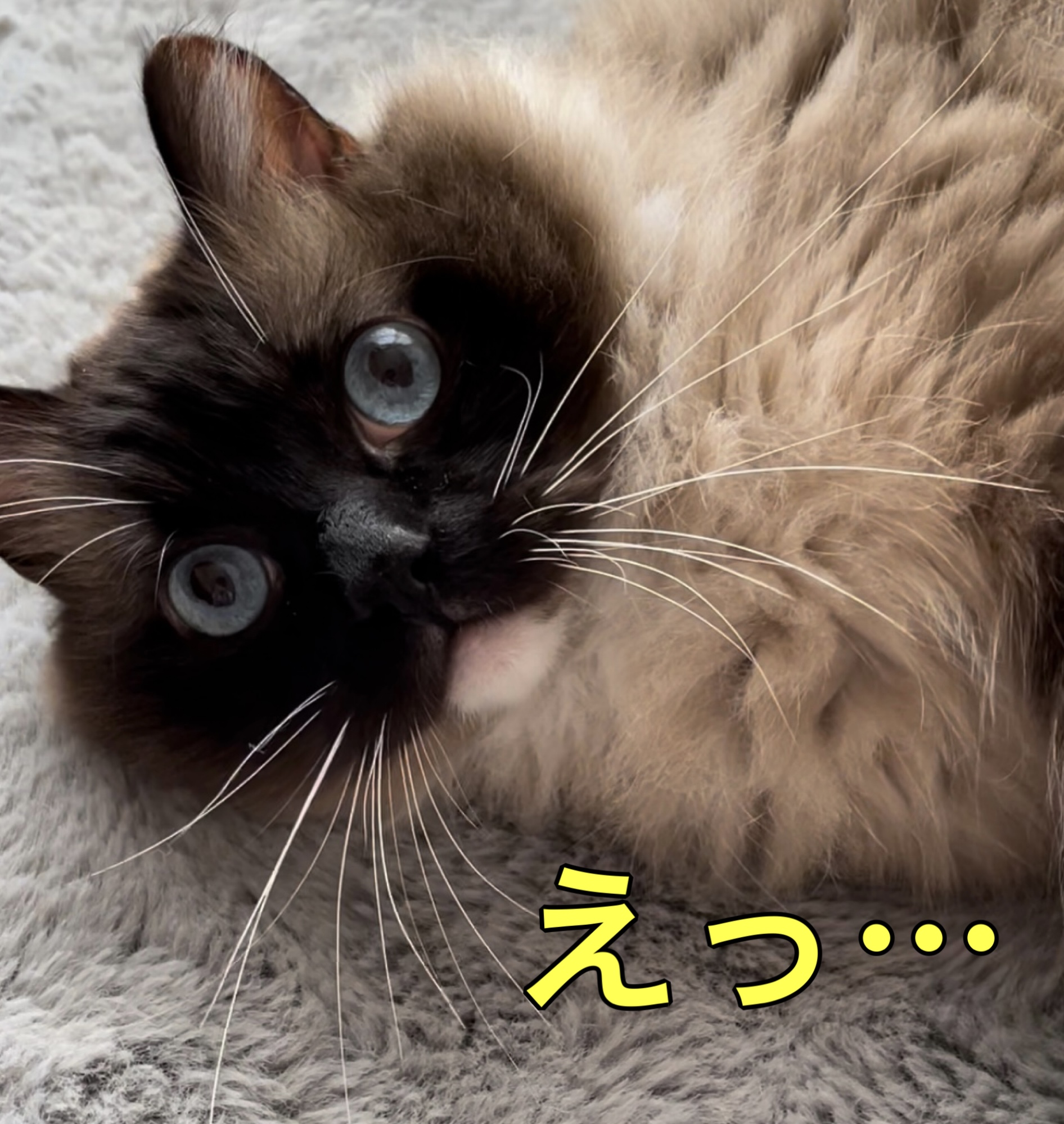まれのすけ